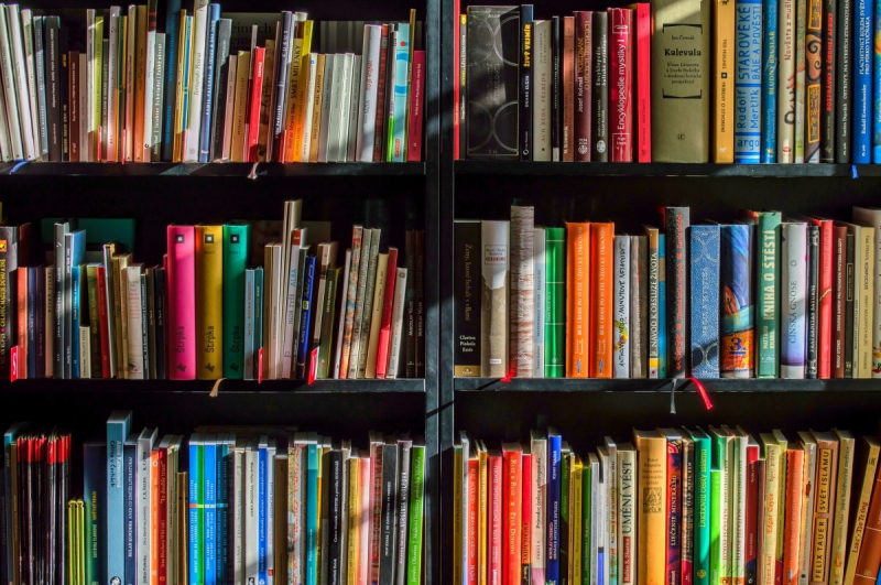 ecommerce-FLASSANS SUR ISSOLE-min_books_bookstore_book_reading_shop_writer_sale_books_read-822866